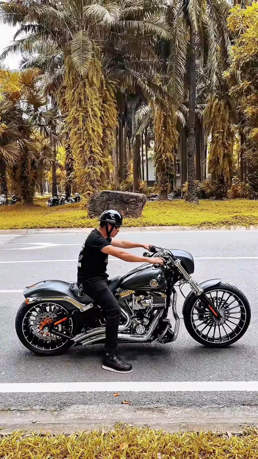 @💀MOTORBIKE LOGISTICA💀