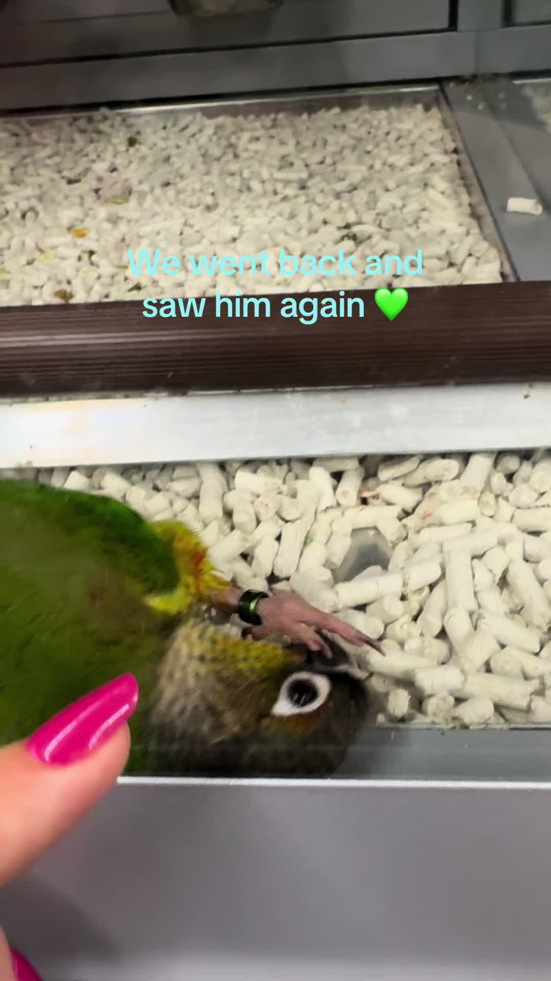 @Kelli 💜🤗