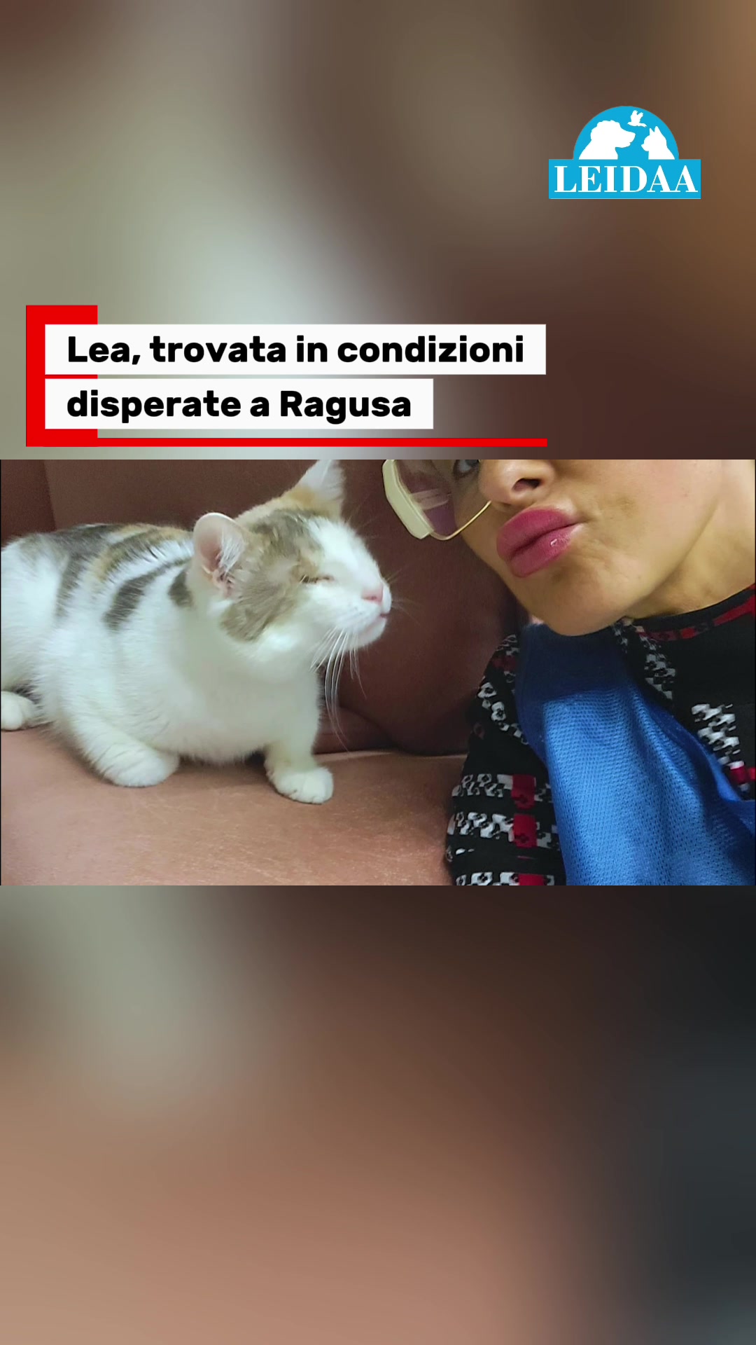 @LEIDAA