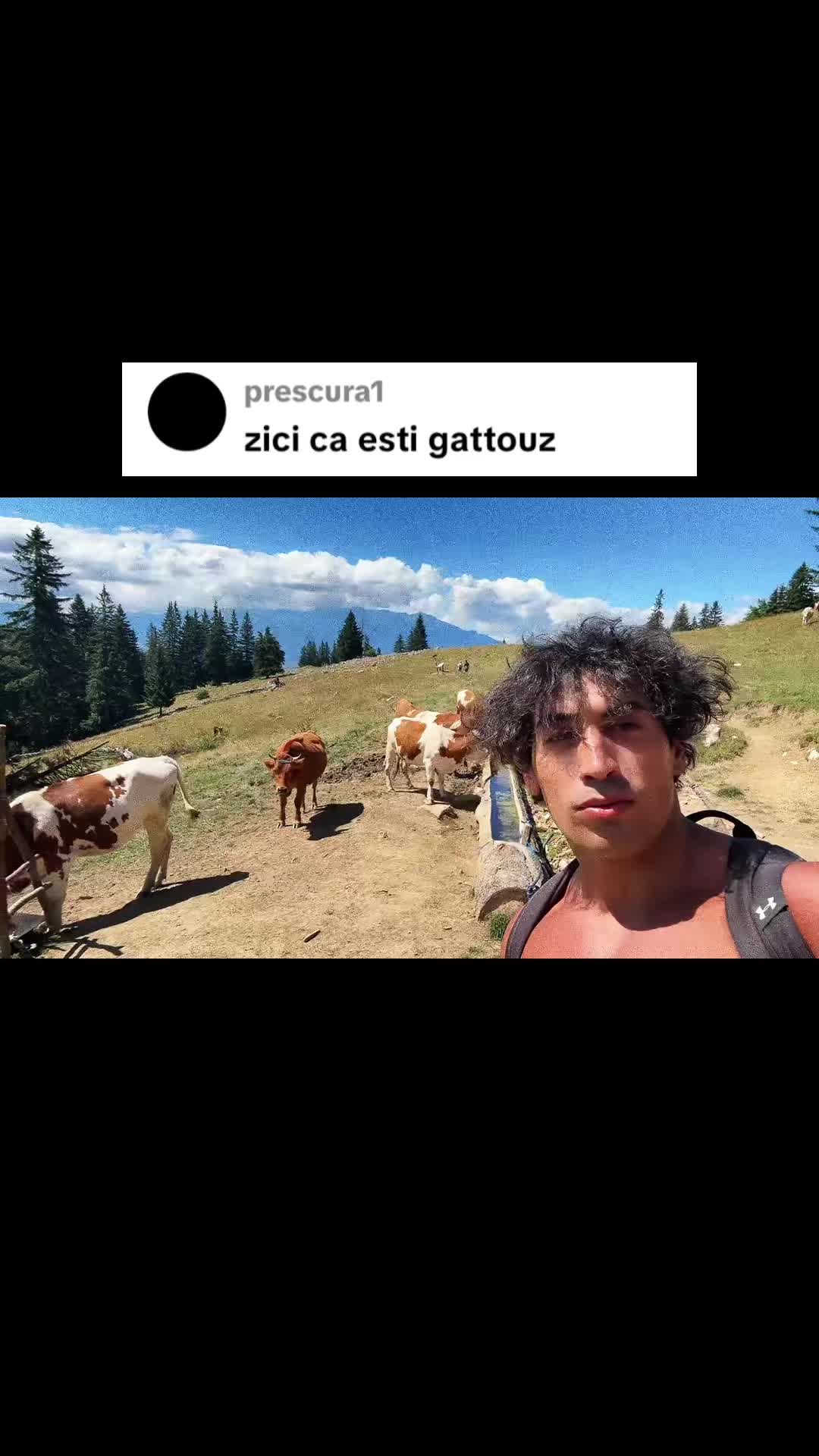 @David Pascu