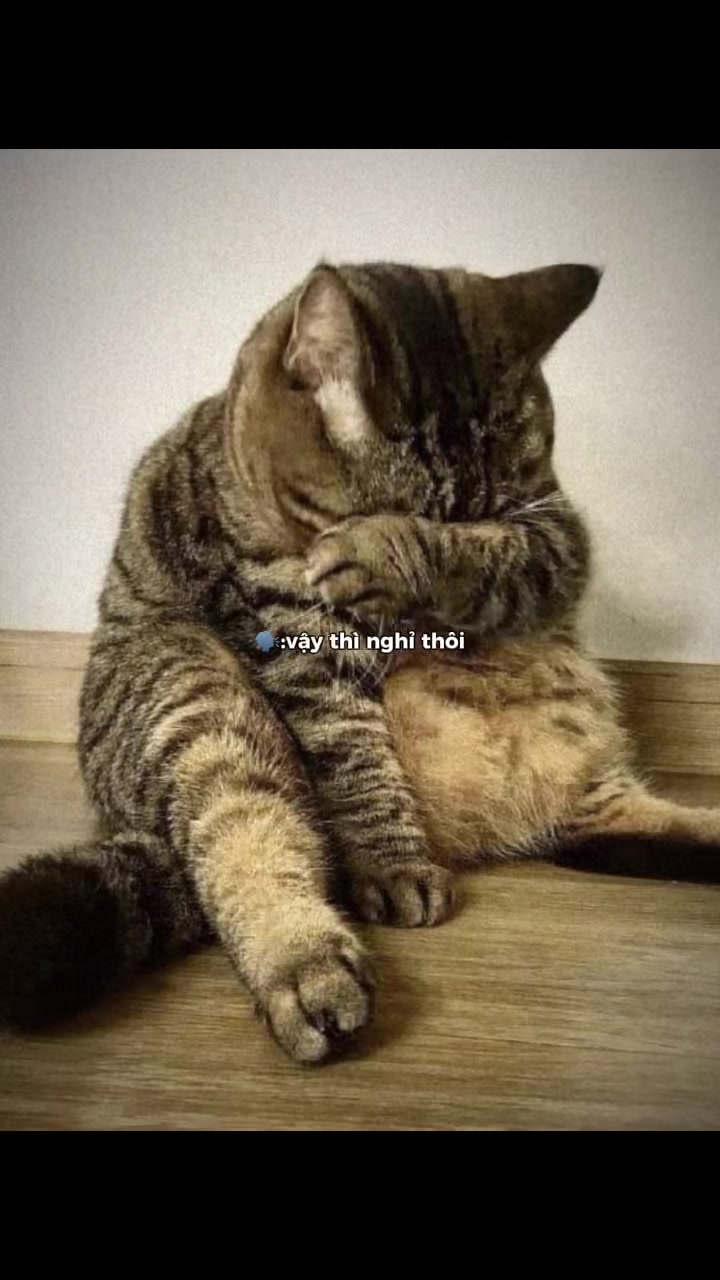 @Thấy iu đời