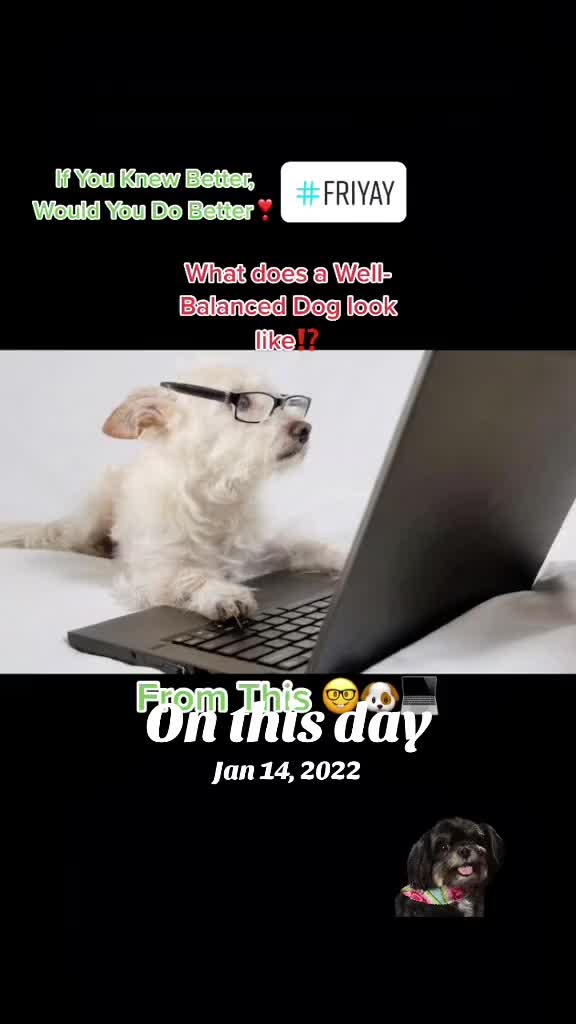 @Katrin - HappyPawsPantry