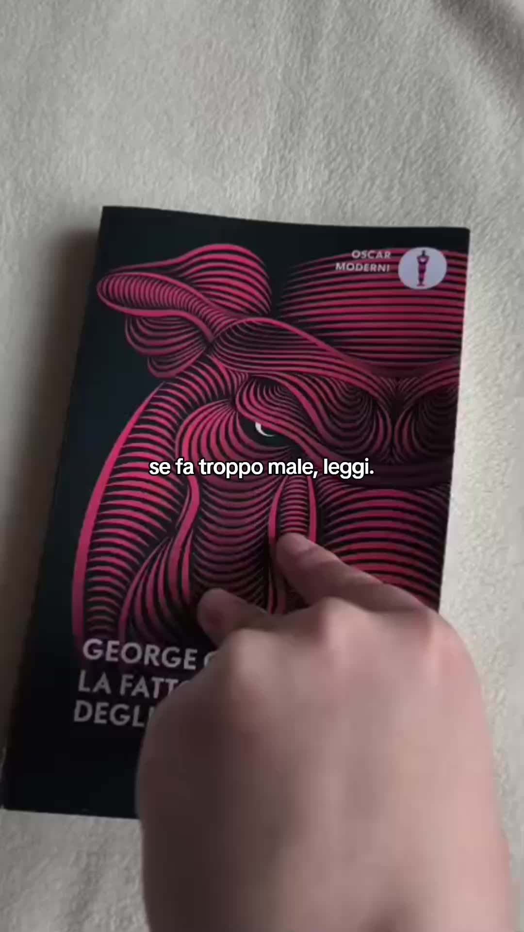 @naomy📚🪸