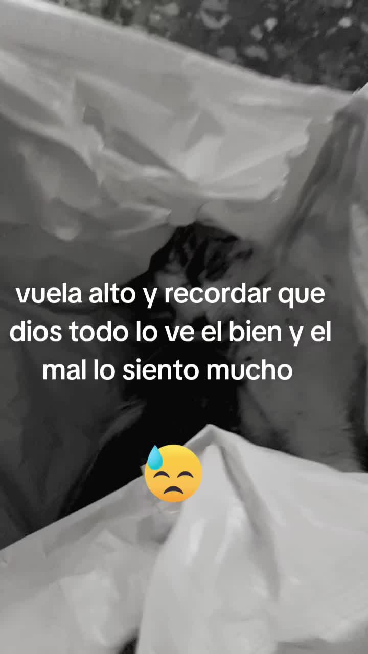 @Vero Jimenez Ferrer
