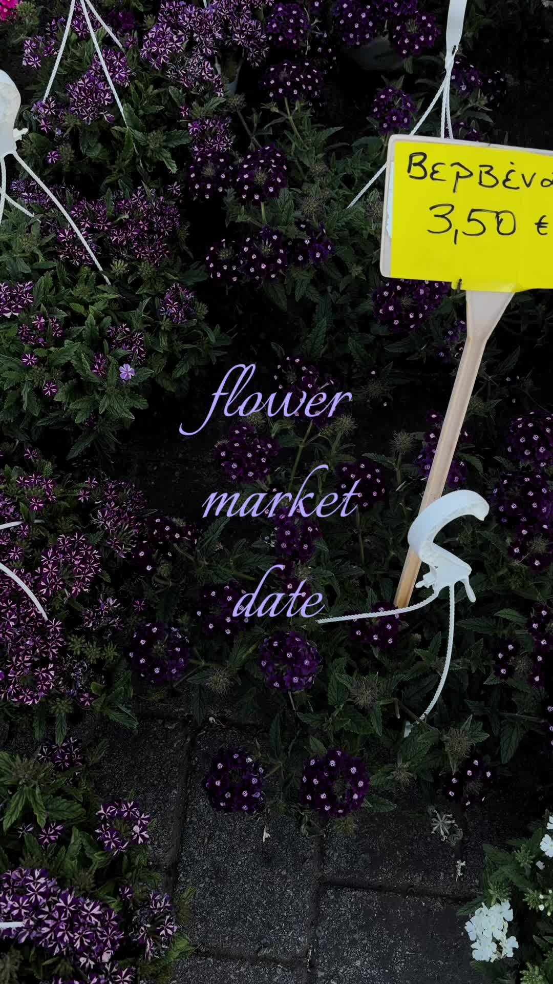 @𝕴𝖗𝖊𝖓𝖊