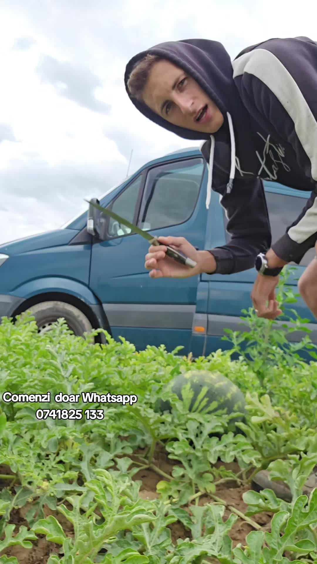 @Faze Farm