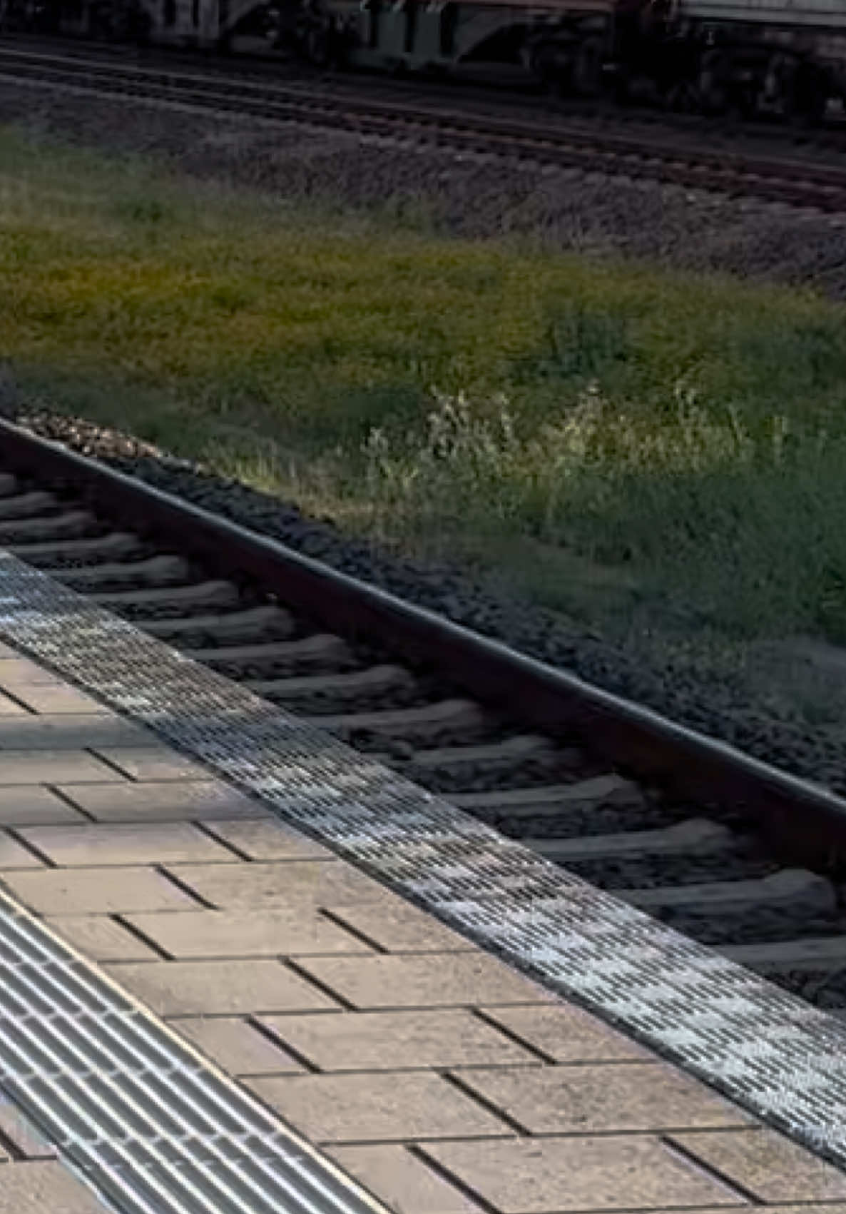 @train_univers