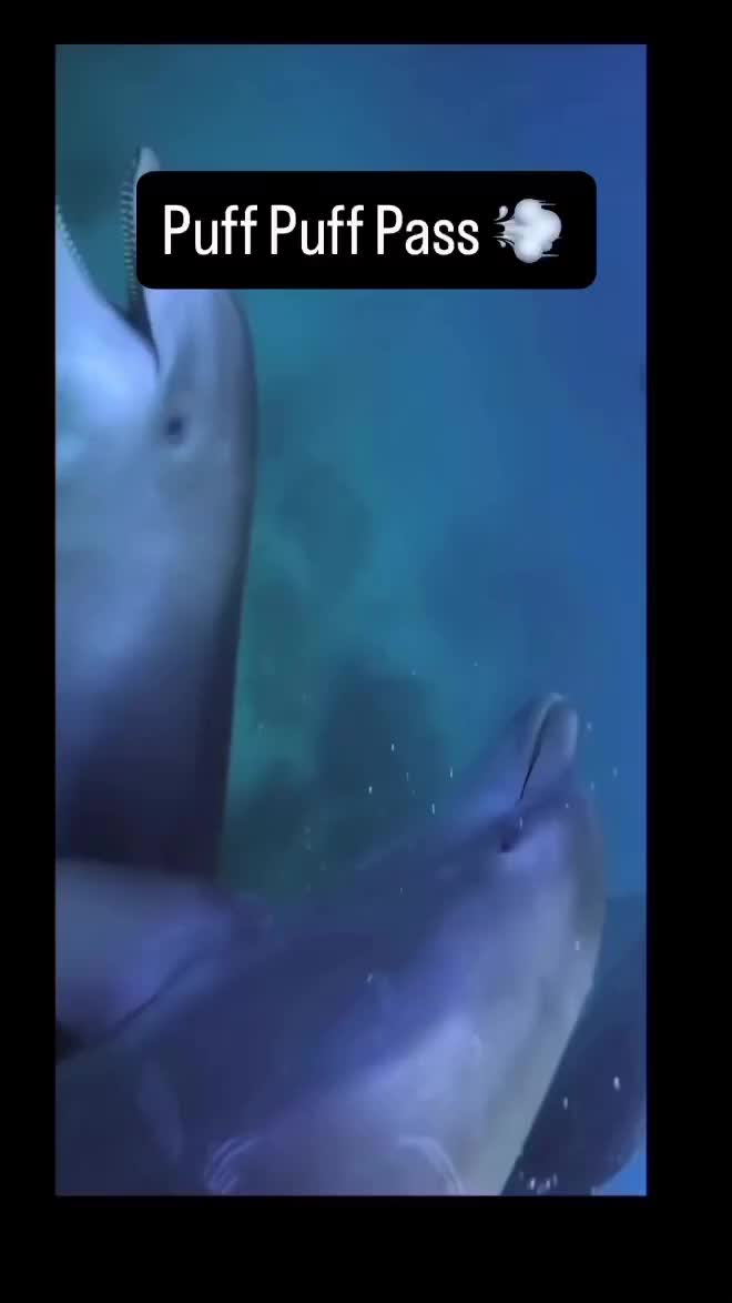 @CHUNKSMAN1