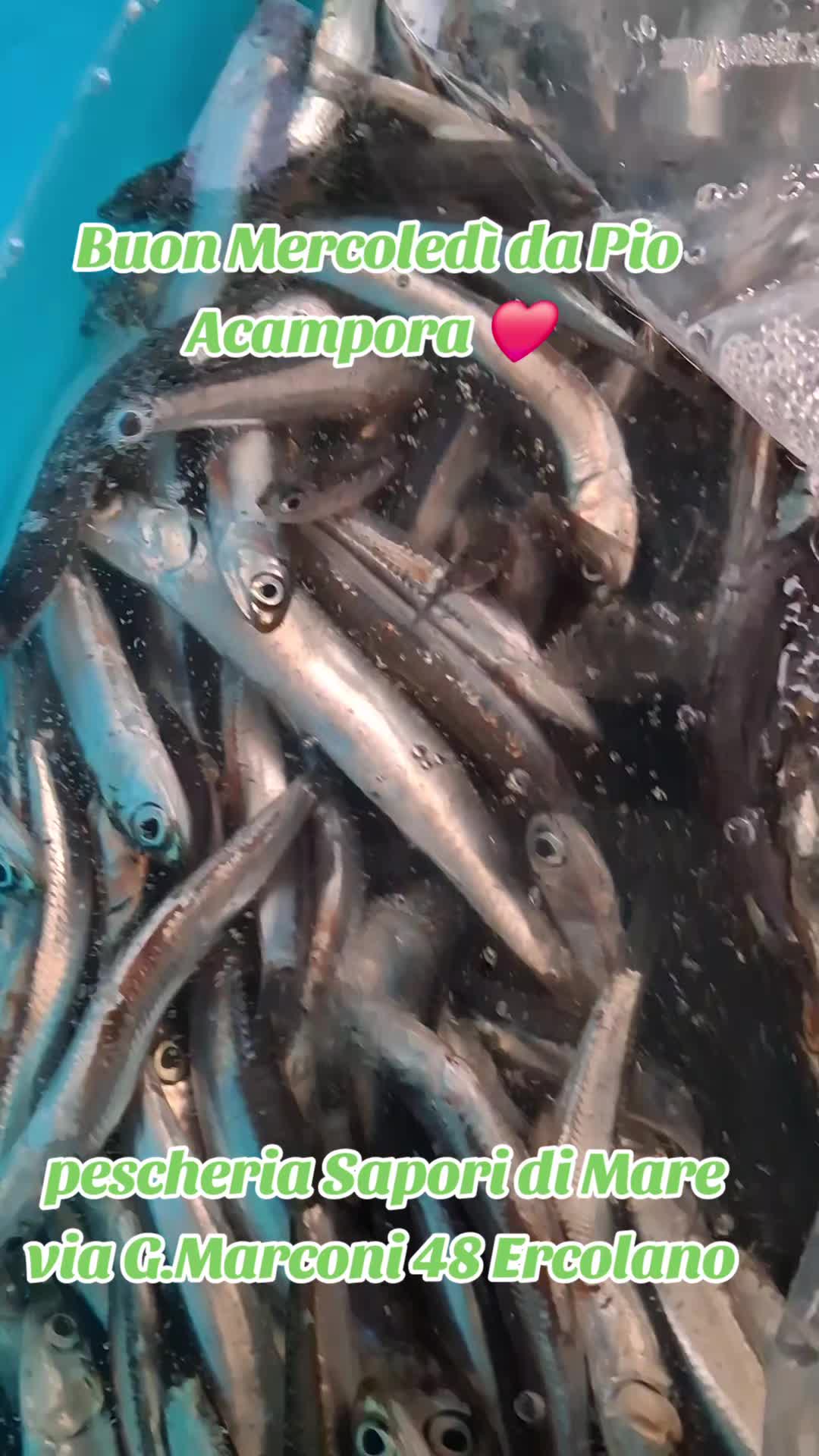 @Pio Acampora