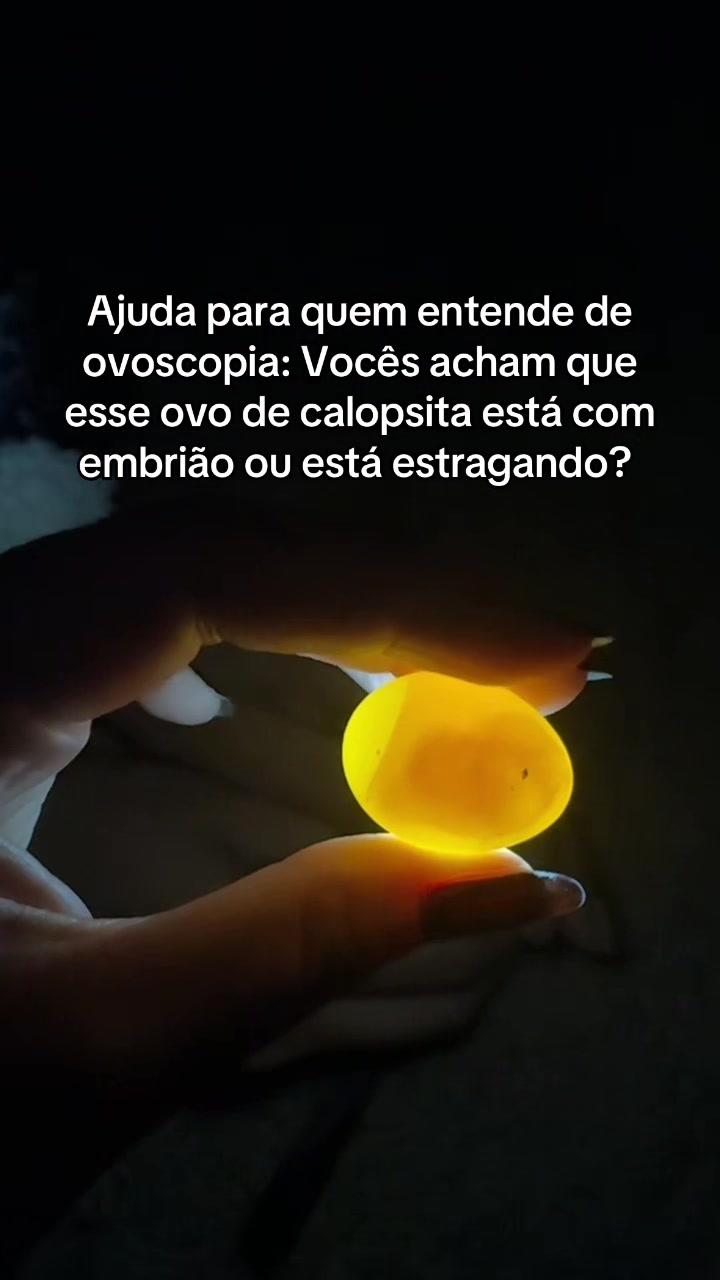 @Aninha
