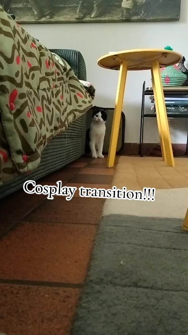 @ᴀᴋᴜᴛᴀʙᴜᴛᴛᴇʀ → ᴇʟꜰᴛᴏᴘɪᴀ ᴡᴇᴇᴋᴇɴᴅ