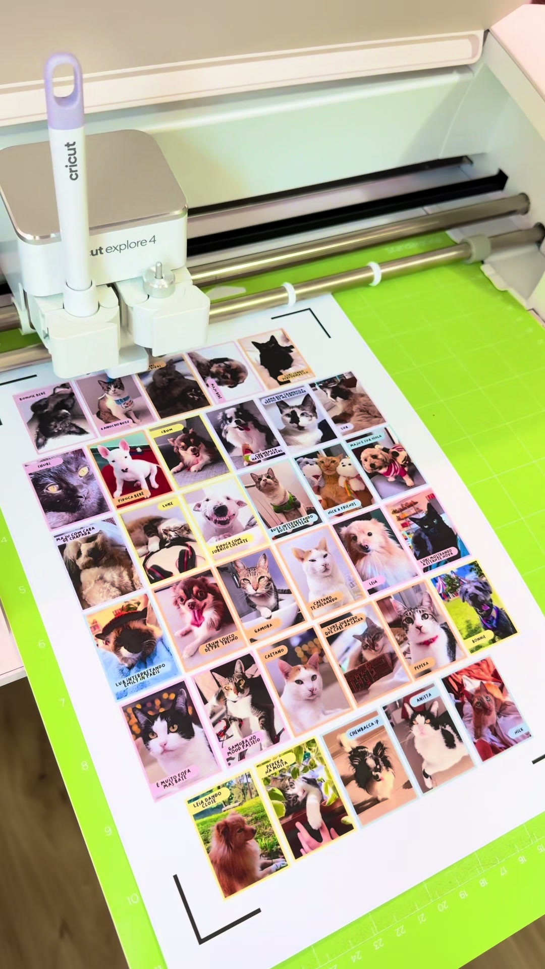 @Cricut Shop Brasil