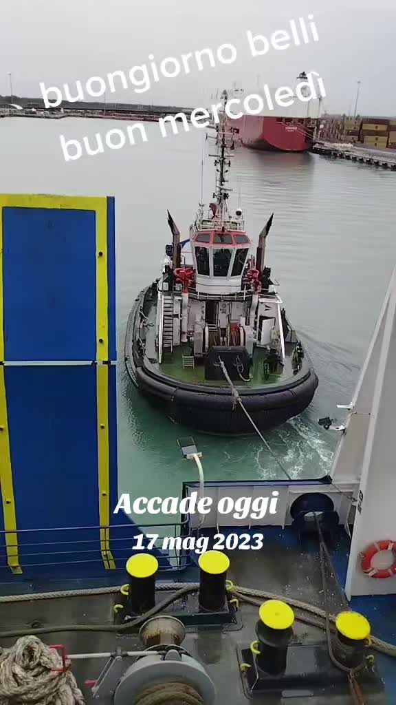 @cognato di regina