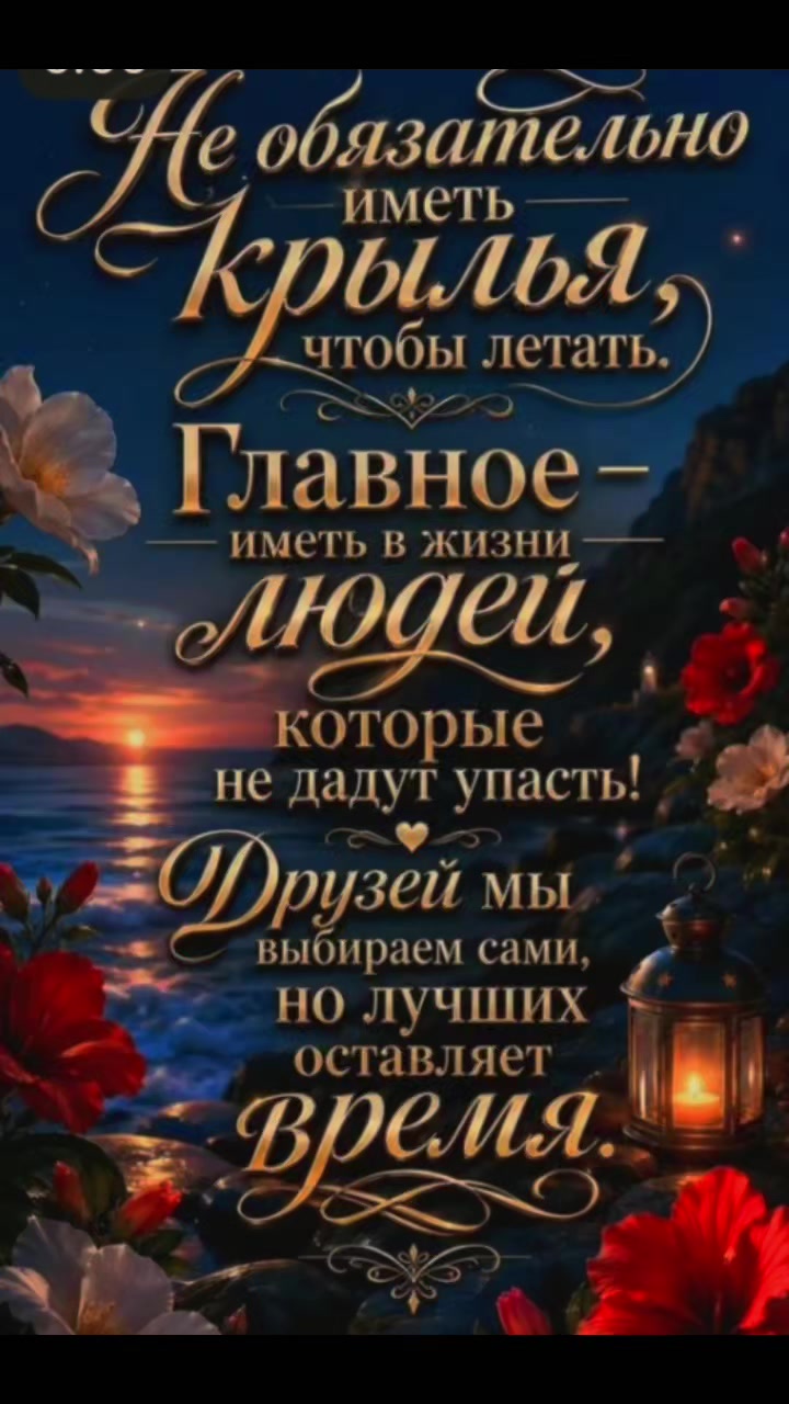 @꧁💞 𝙊𝙇𝙂𝘼 💫🎶꧂