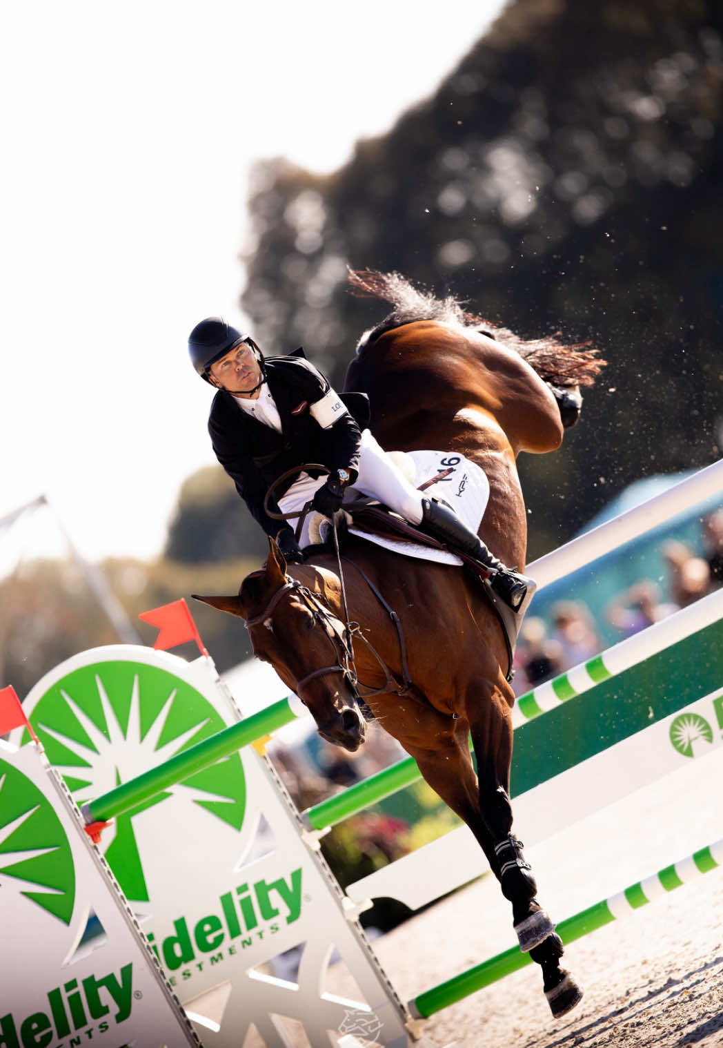 @Major League Show Jumping