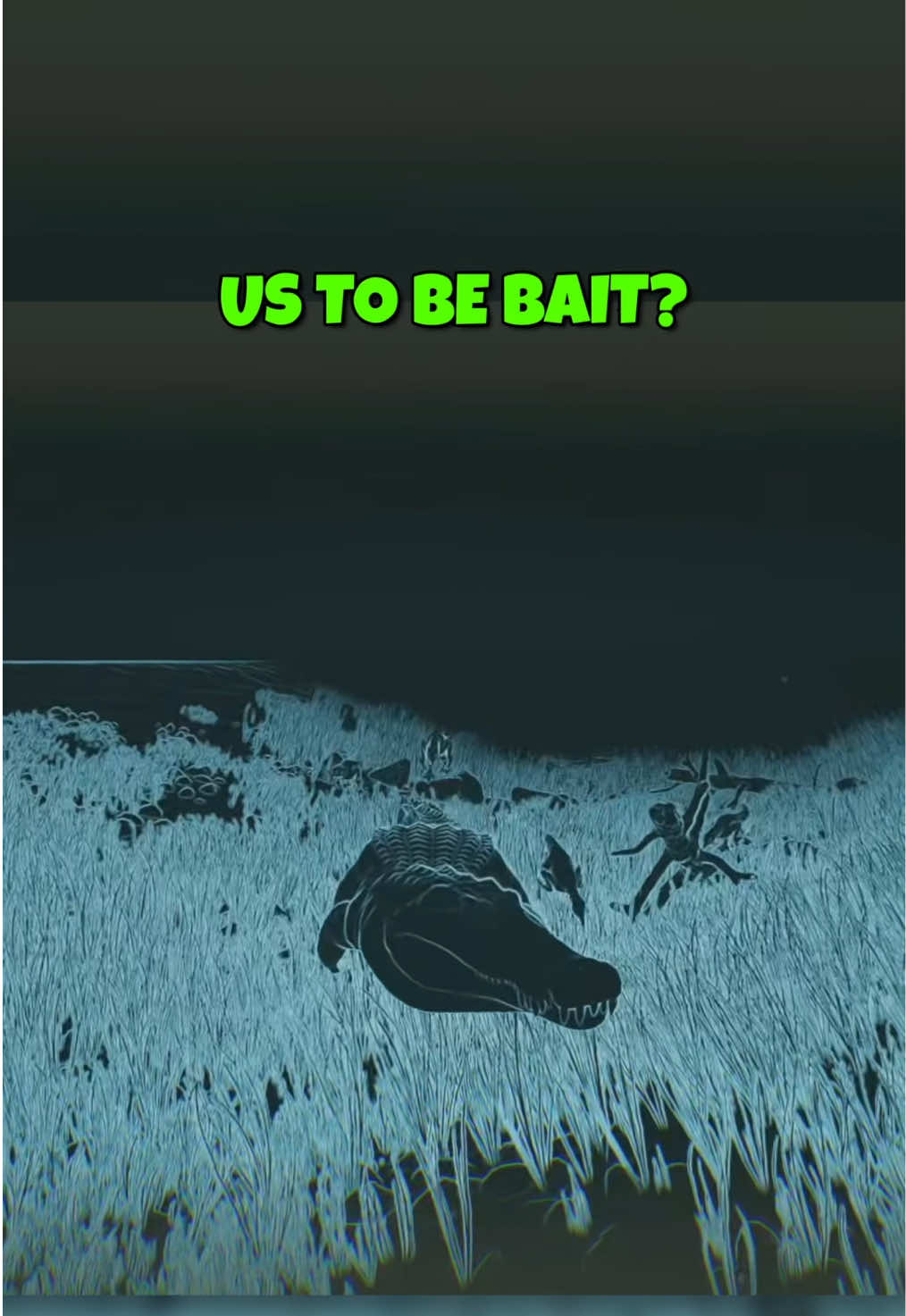 @MrGibbon