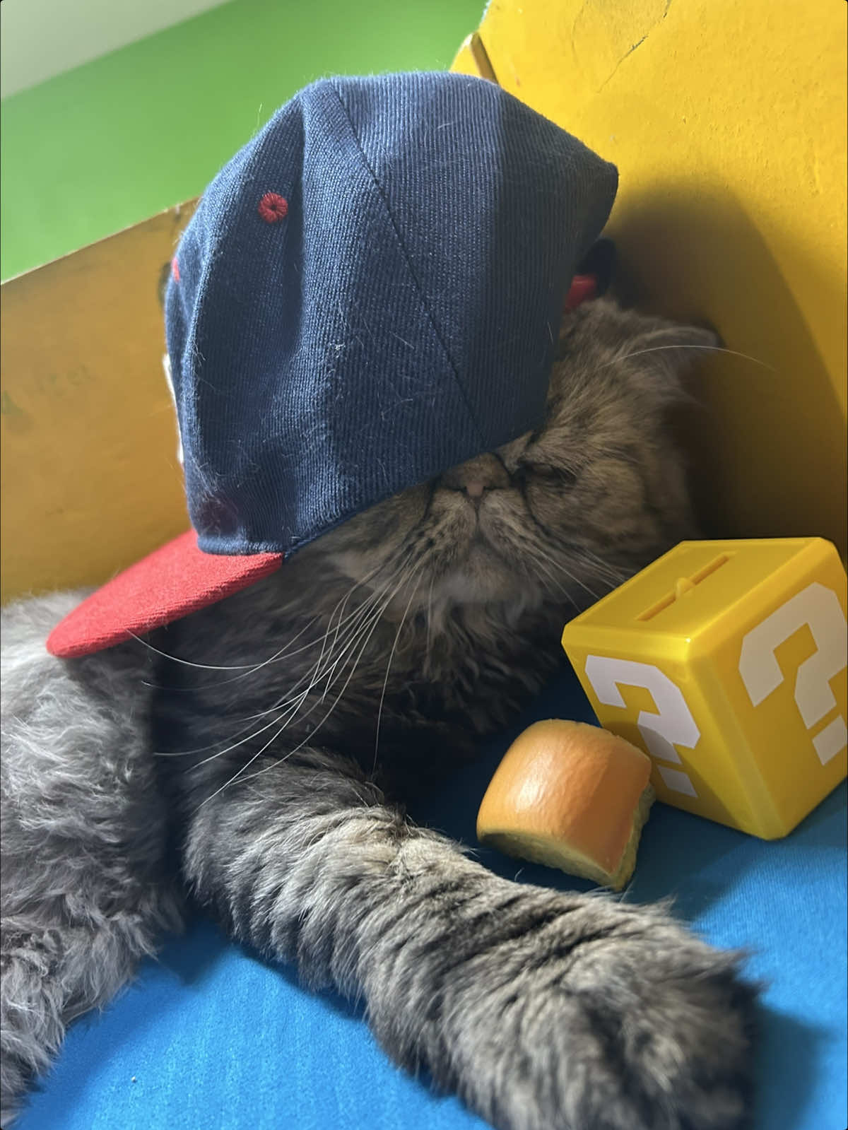 @˚ ༘♡ ·˚꒰ 🌟🐈⬛🍎🐰꒱ ₊*”