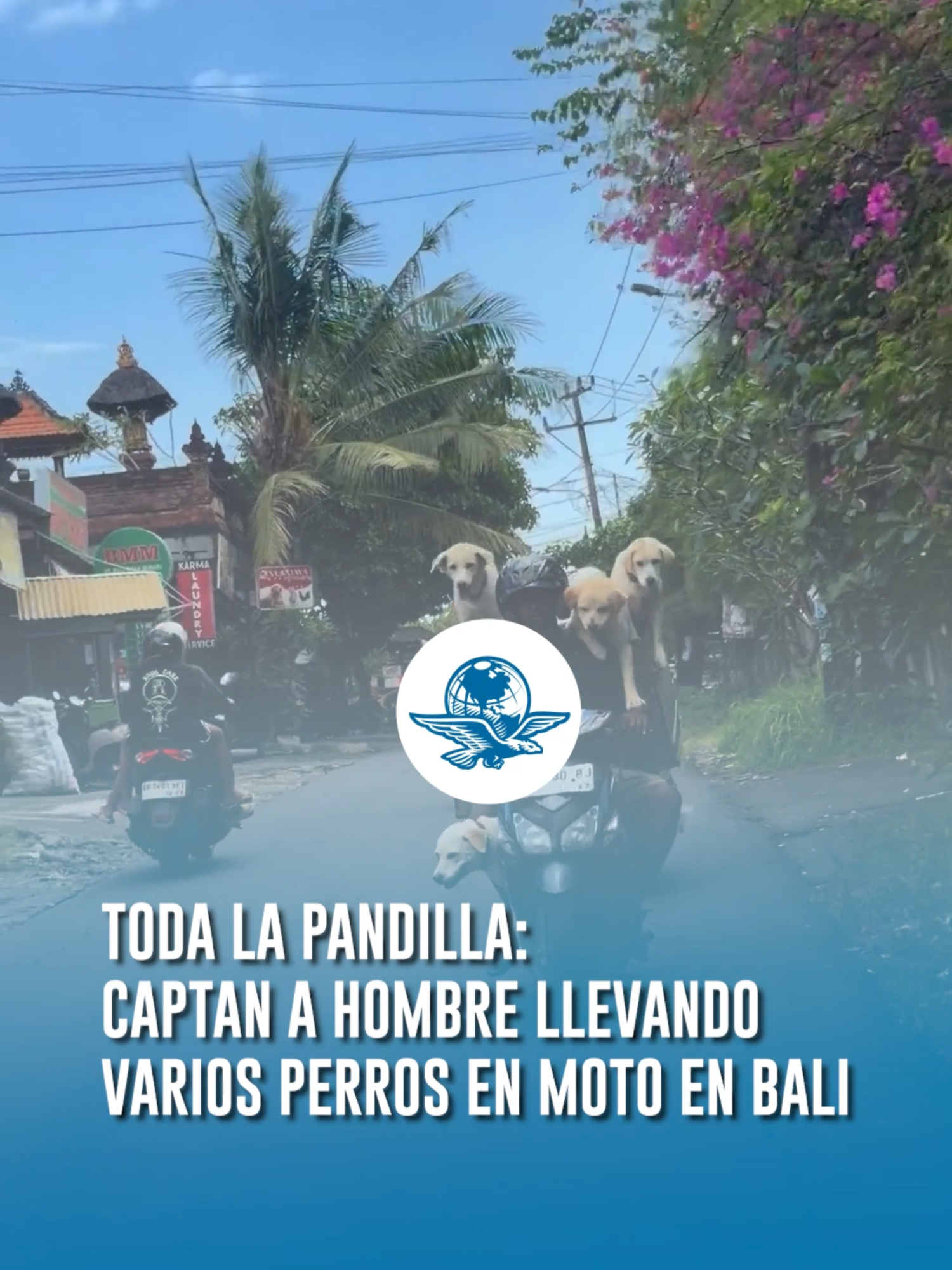 @El Universal