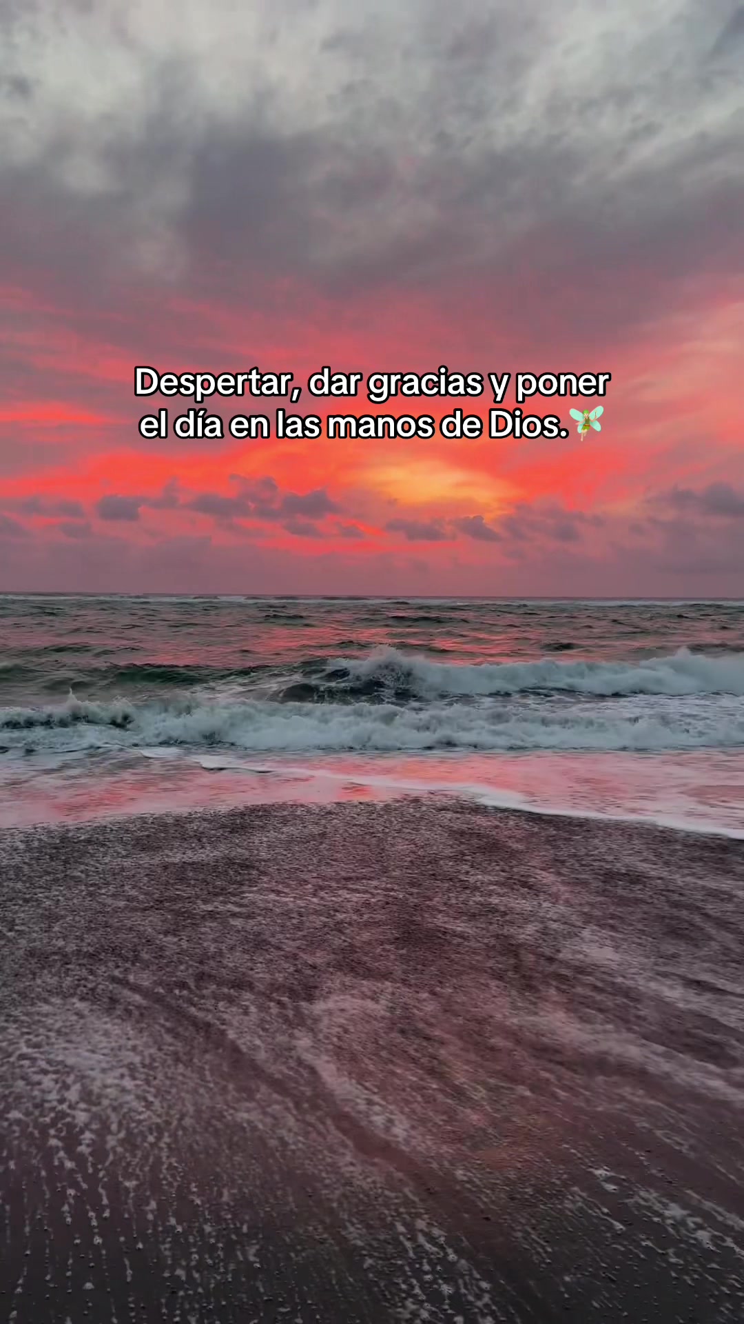 @🧚🏻