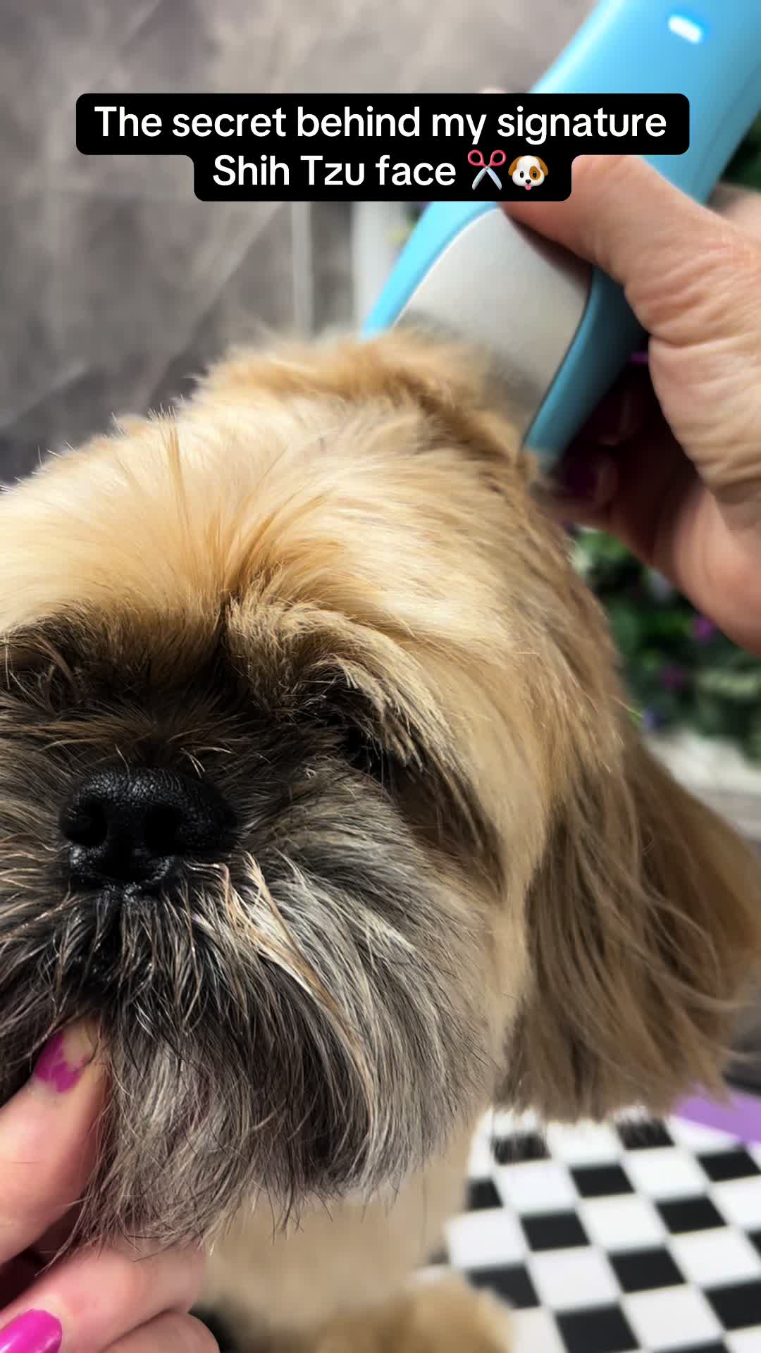 @Poochiepoosdoggrooming