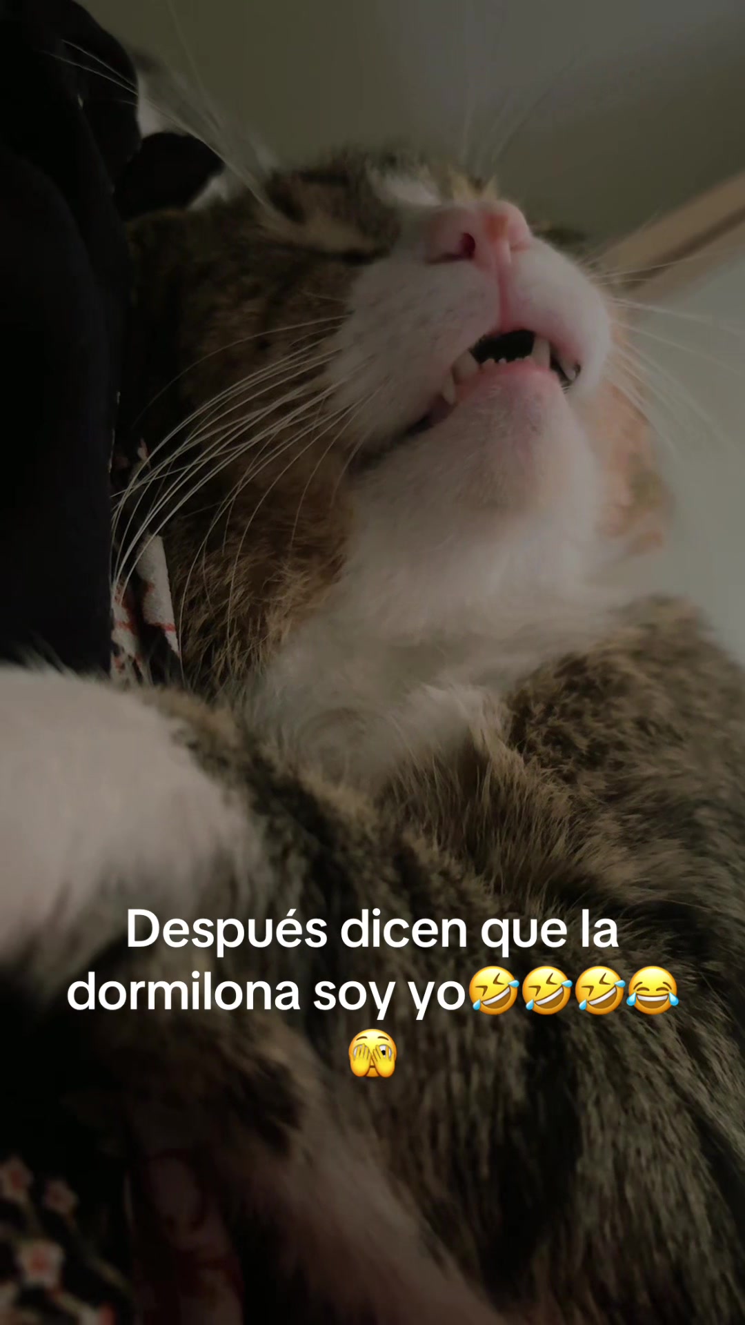 @Helen Rodríguez
