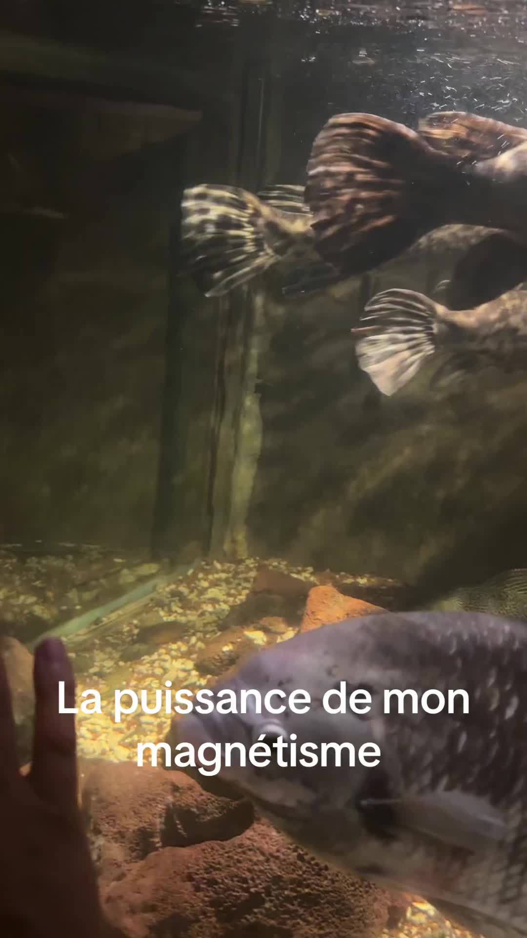 @Raphael Reppel Hypnose