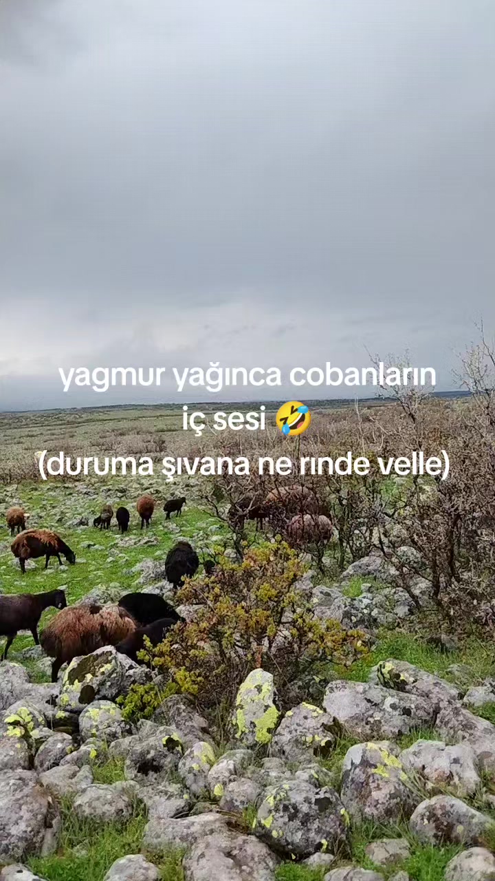 @𝑀𝑒𝓂𝑜_𝒢_𝑅_𝐵_𝒵_