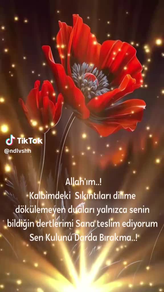 @Zeyit Bin Hadise