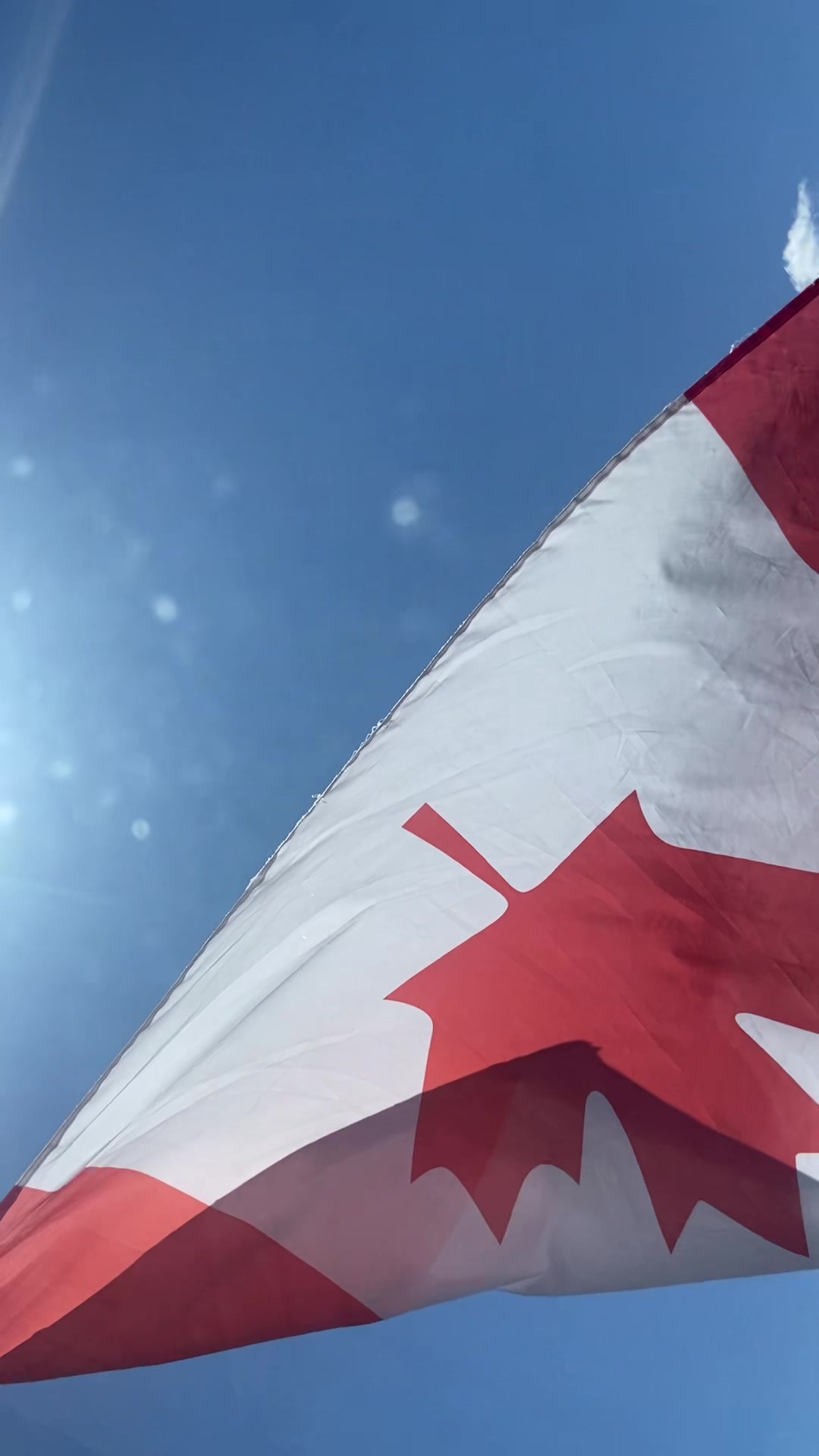 @Thomas Fidler 🇨🇦