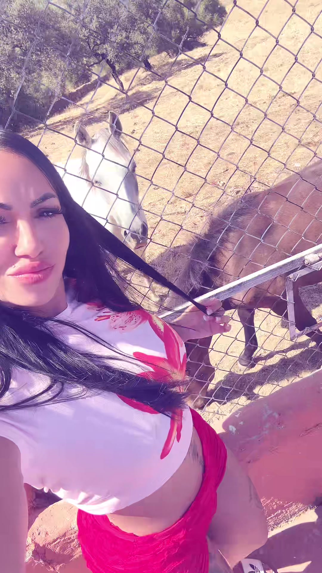 @Saraymedran00