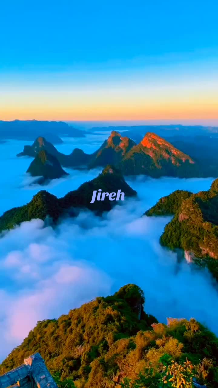 @Mr TikTok