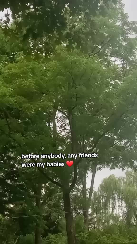 @v⭐