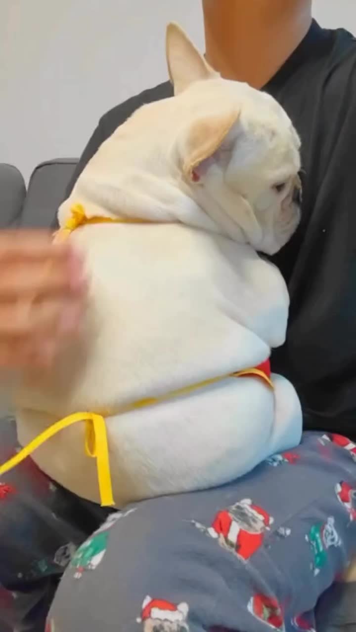 @MisterRobo
