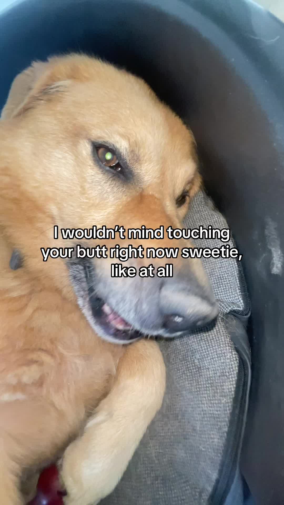 @Neo