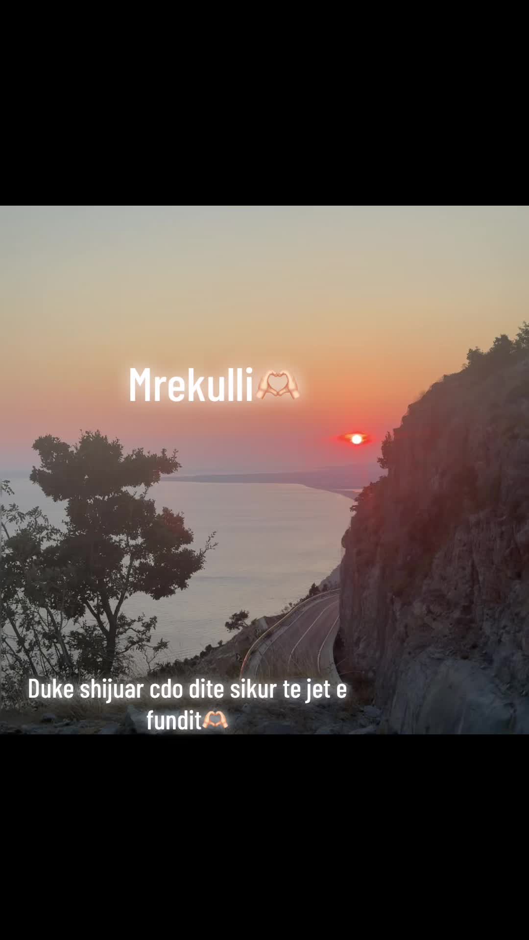 @Fate Berisha