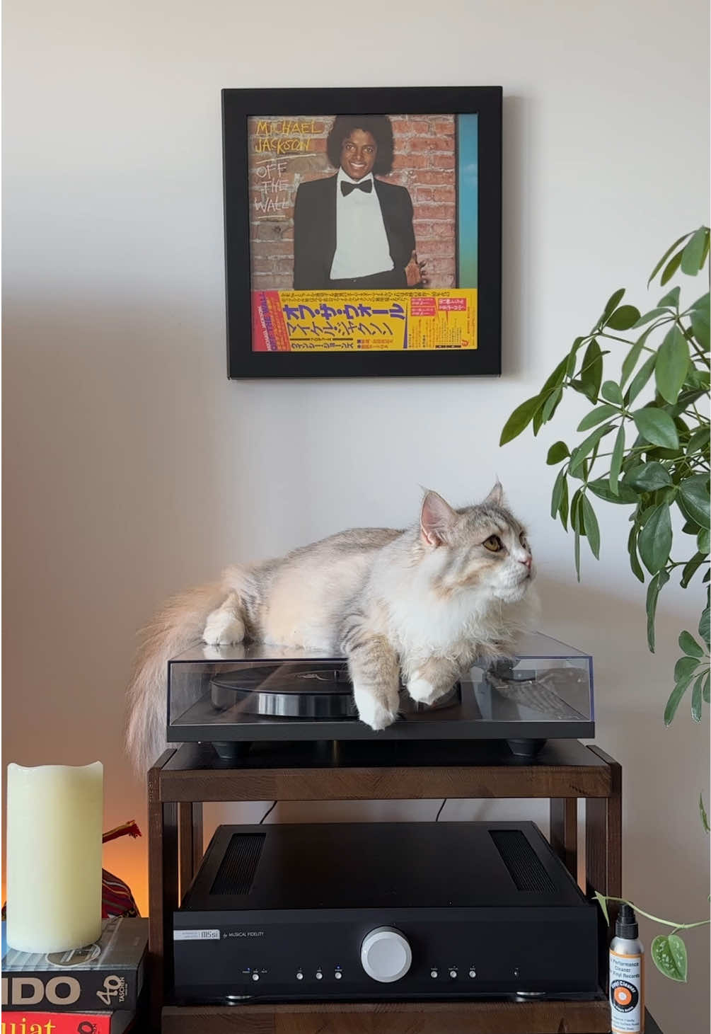 @Leon The Vinyl Cat