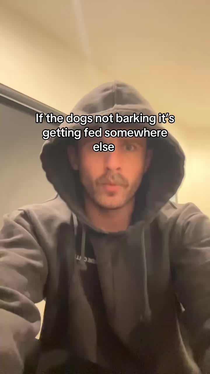 @Z