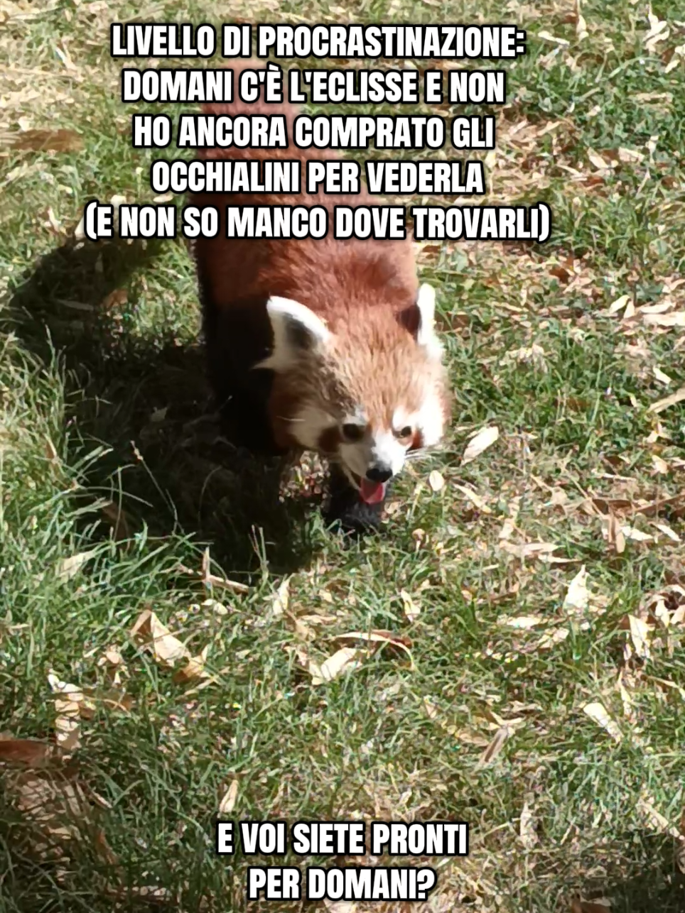 @Susanna Tagliaferro autrice