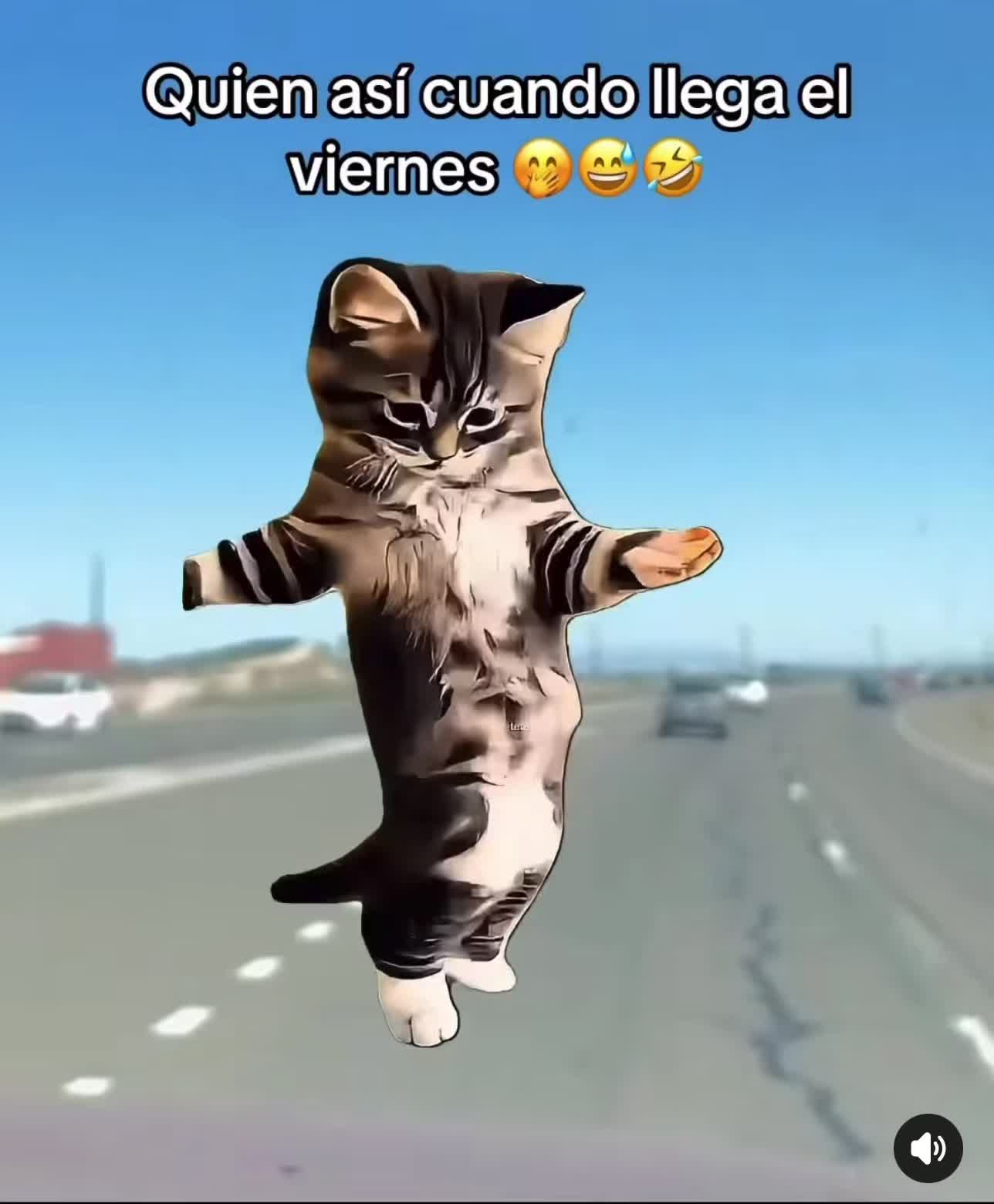 @Yatziri Ramirez