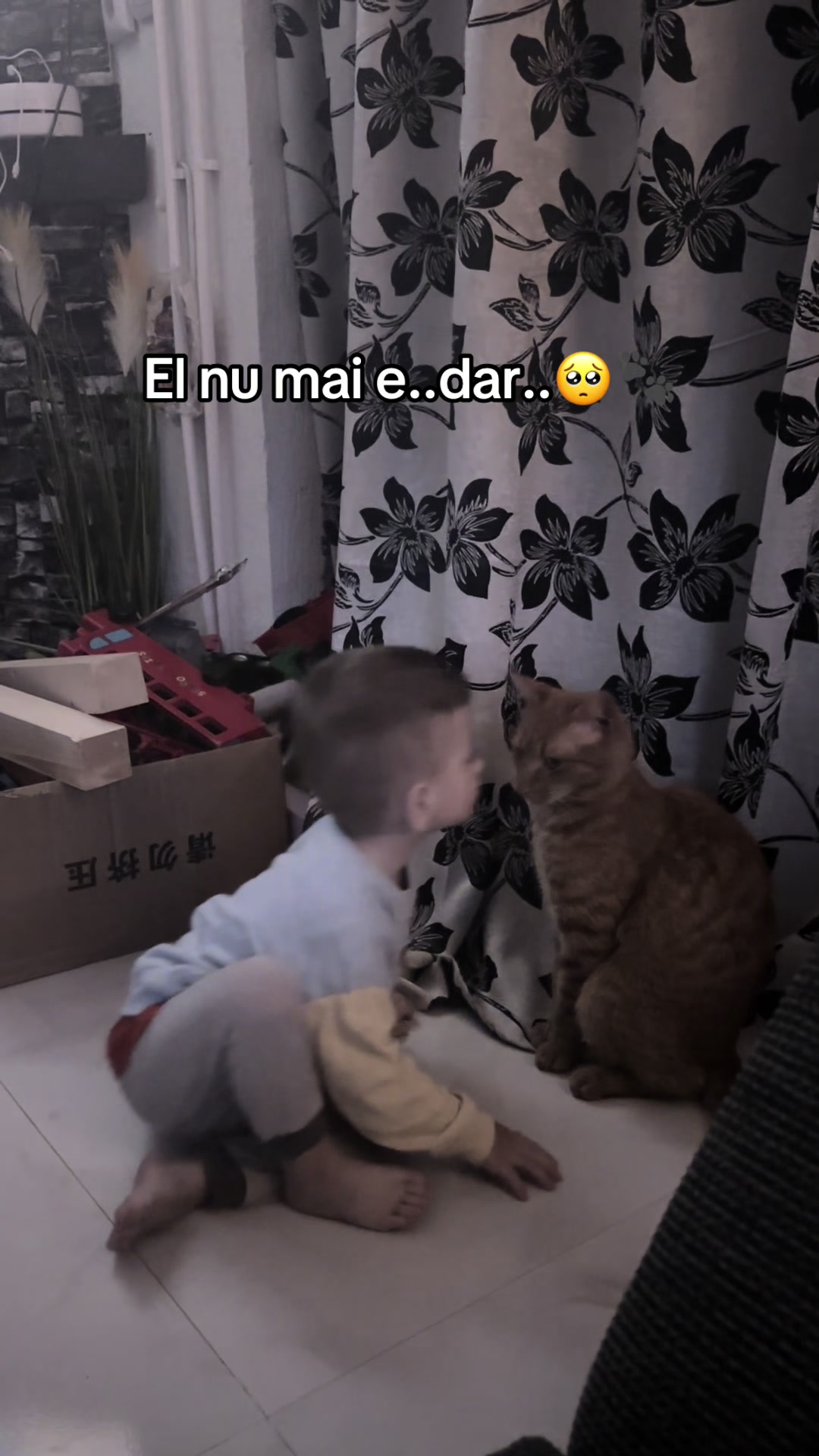 @Ionela Săvulescu