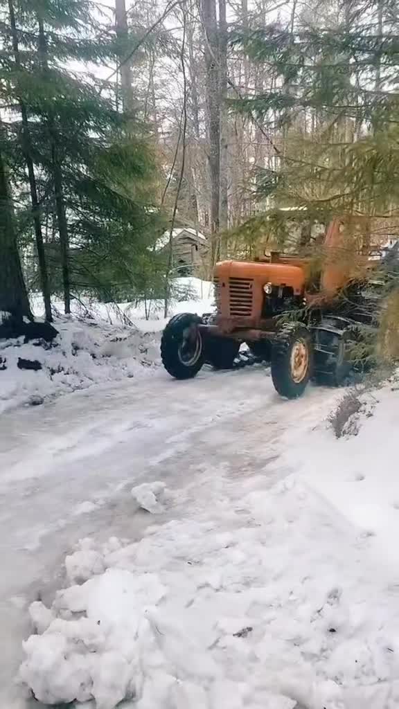 @ForestAndWheels