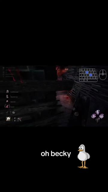 @Koko