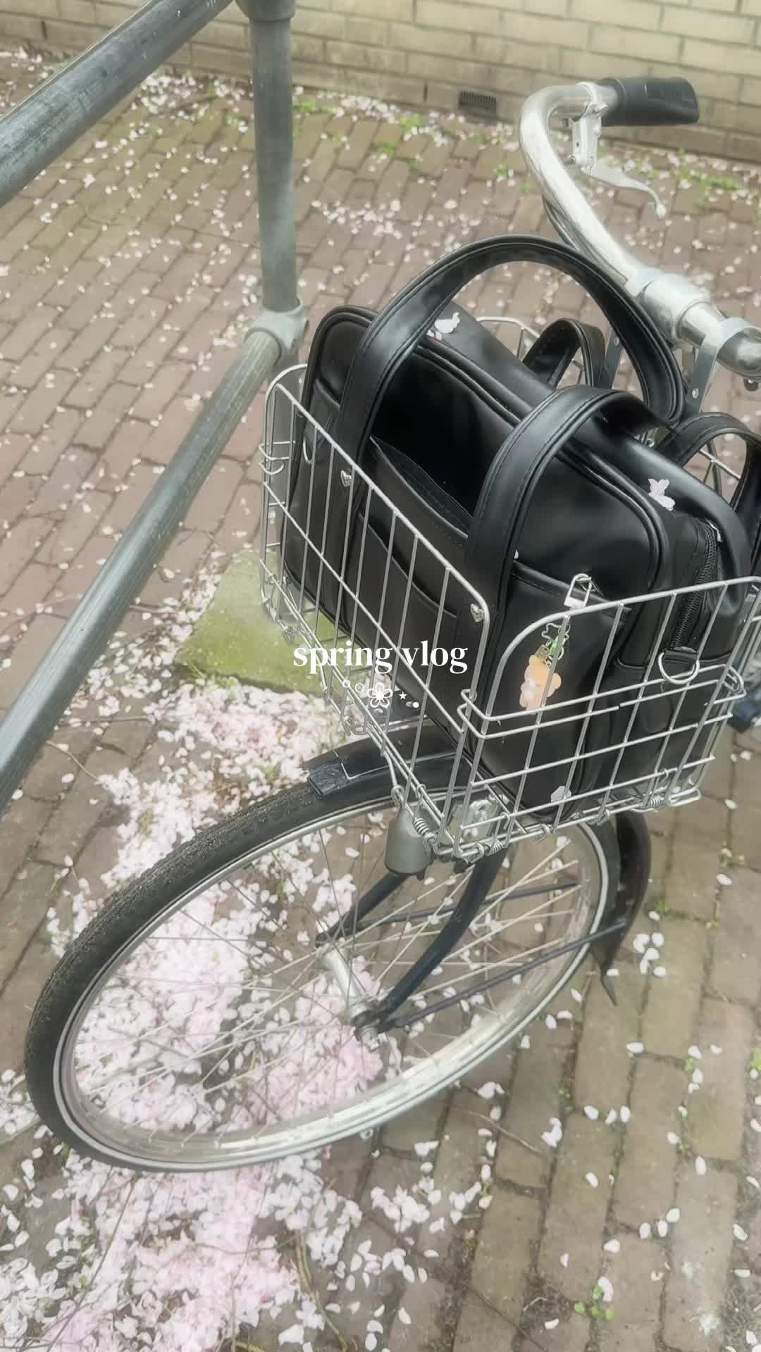 @elisa⁷✮⋆˙