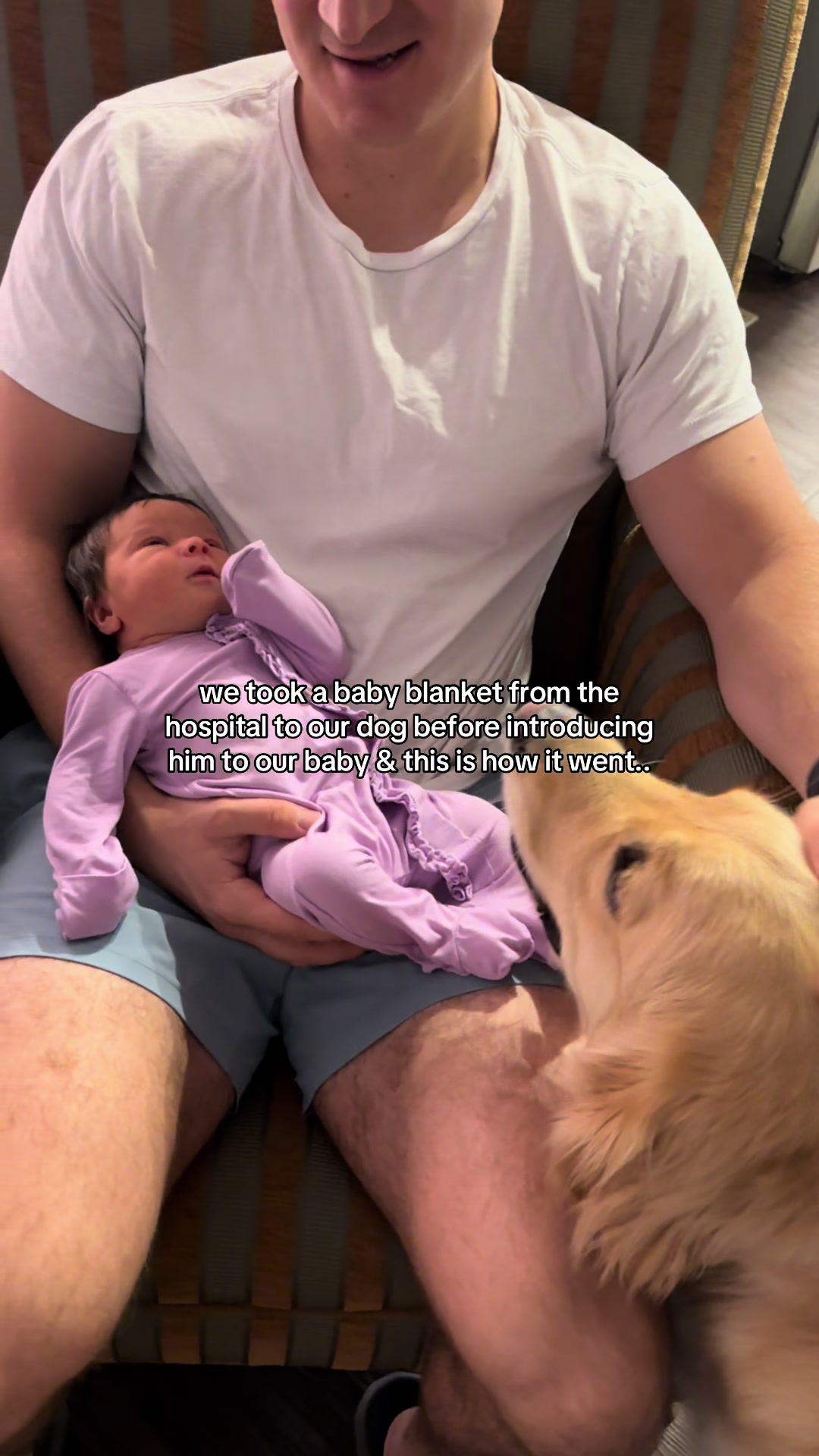 @agoldendogmom