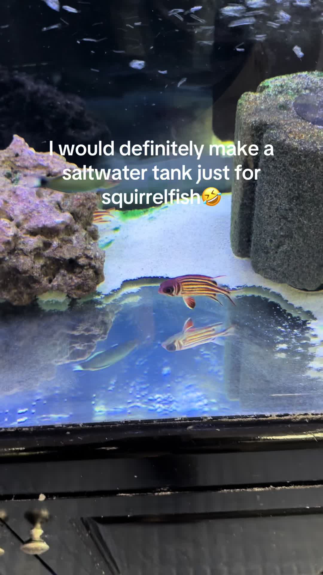@fishdaddy2002