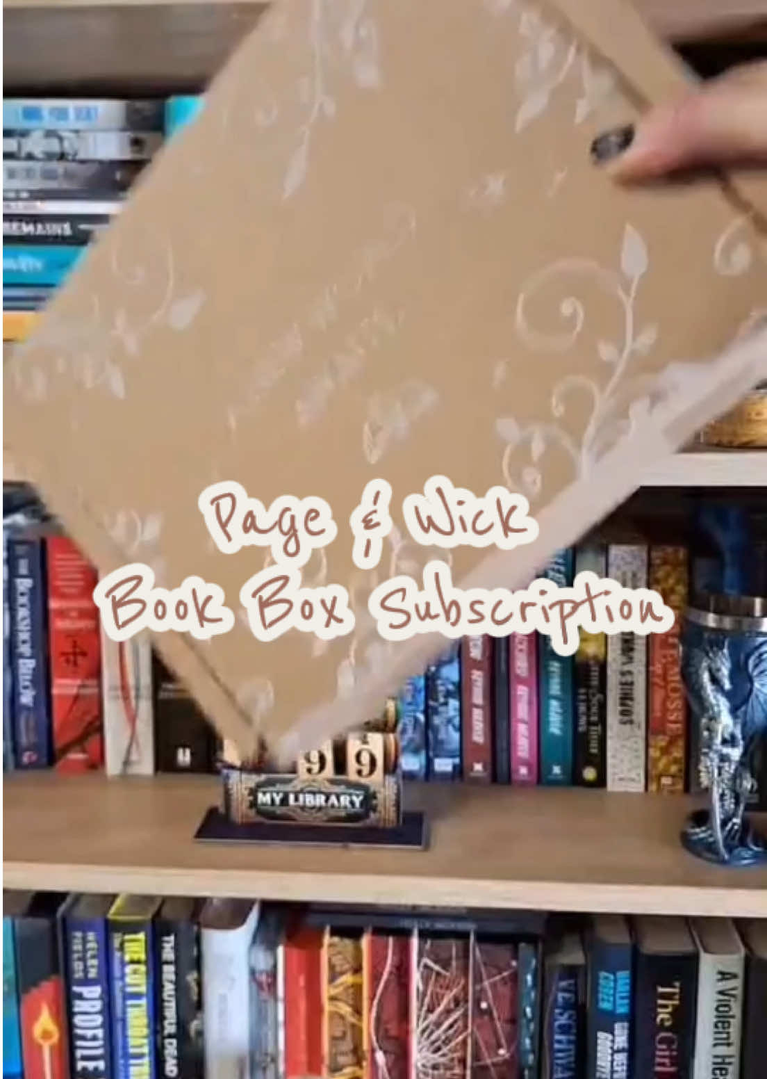 @Noelle📚 Book Recs & Writer