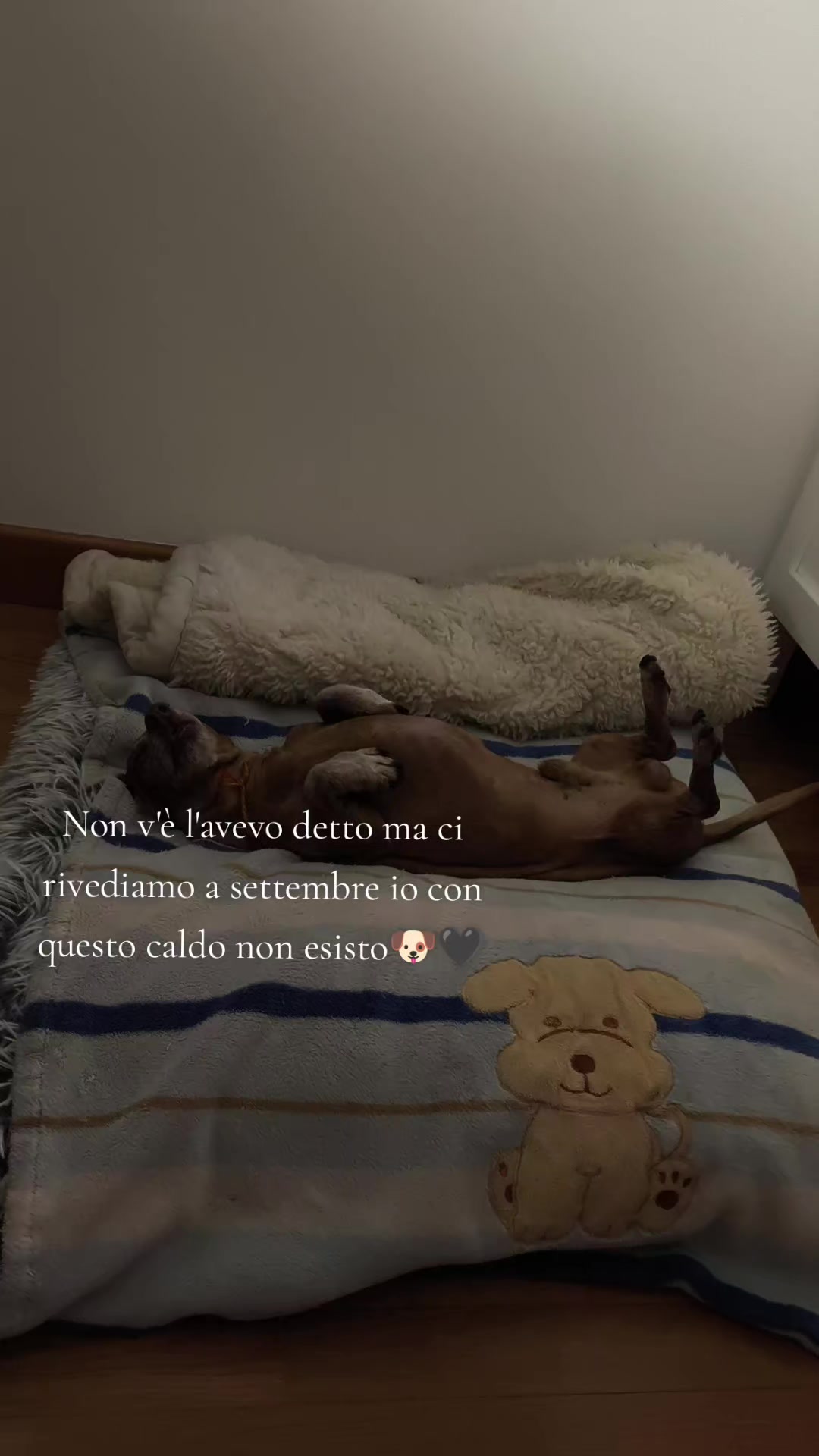 @Marta e Jj