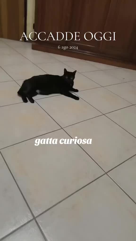 @Pina