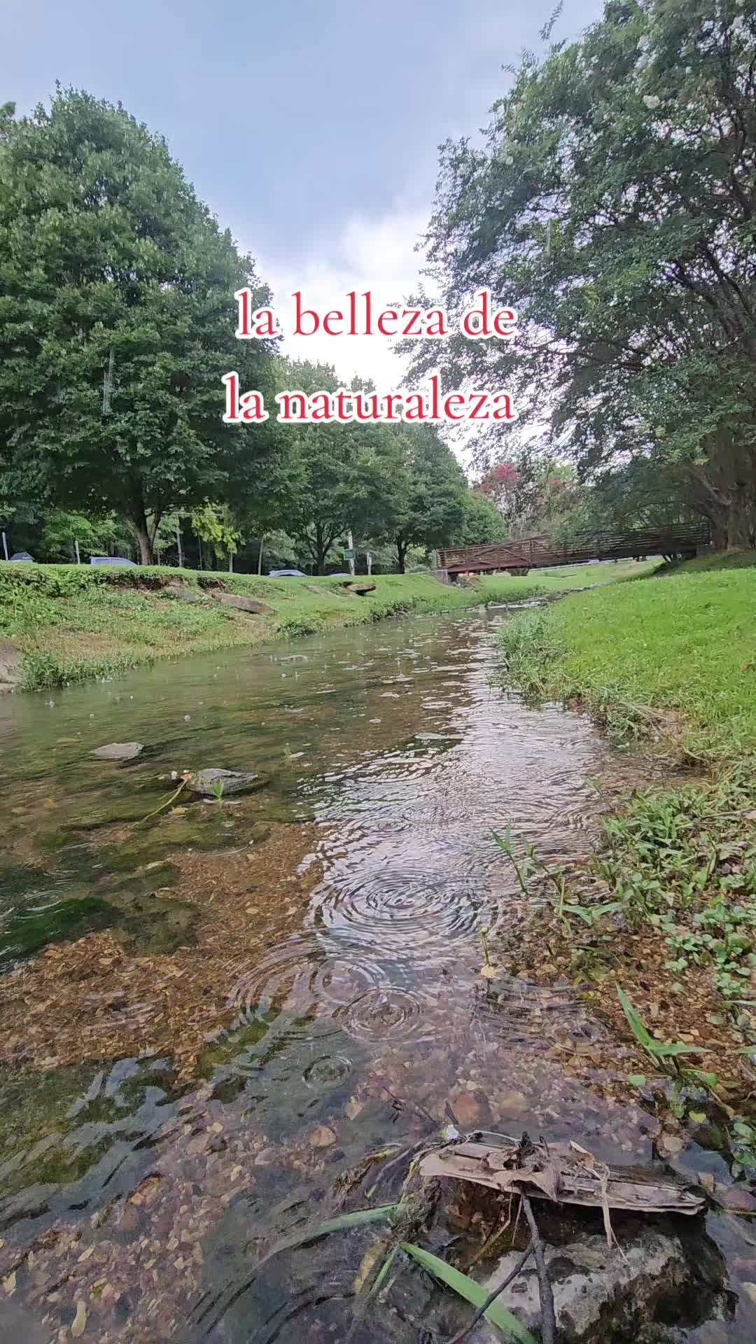 @luisjuarez691