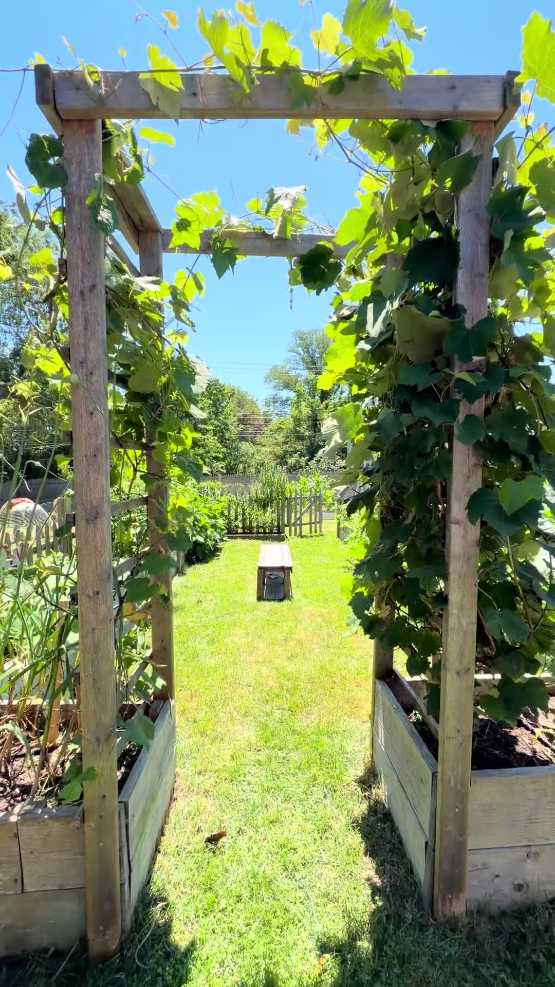 @The Cape Coop Farm